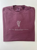 He Has Made Everything Beautiful Tee